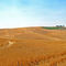 Pullman