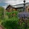 Gardens at Living in the Garden
