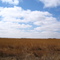 Afton prairie