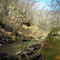 Trout Brook