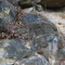 Jordan Sandstone & Prairie du Chien Limestone Contact in the Afton Coulee