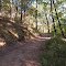 Oct 2005 - Afton, Minnesota. Hiking trail in Afton State Park.