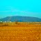 Belmont Mound