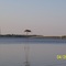 osprey nest