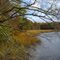 Bennets Creek Park, Suffolk