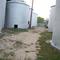 Grain Silos in McGregor