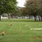 Maryhill Cemetery