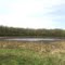 Marsh