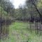 Grassy Path