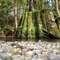 Union River