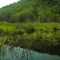 Beaver pond between Gold and Green Mountians