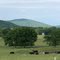 Foothills of the Smokey Mountains
