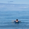 Lake Huron Blues - Swimming At Hoeft State Park