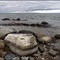 Huron Shore