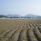 A Buan Beach