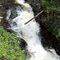 Fish Hatchery Falls