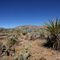 Anza Borrego Desert State Park
