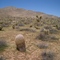 Anza Borrego Statepark