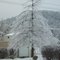 Ice Storm 2009