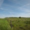 near Red Bluff