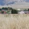 NE of Red Bluff, CA