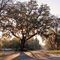Scenery of Charleston Highway, South Carolina, USA