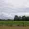 Country Farm