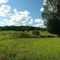 Reed City Farm