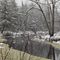 Thornapple River Winter