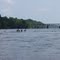 Gaggle