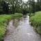 Turtle River in ND