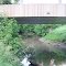 Turtle River