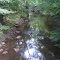 Stream