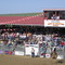 Home Of Champions Rodeo