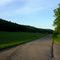 Old Highway 61 between Red Wing and Lake City