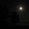 Good Night, Moon