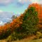 Wisconsin Fall Colors