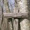 Old sign on the rim trail