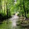 Creek Near Andrews, North Carolina