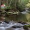 Eric Rudolph's old hangout in Fires Creek, NC