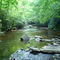 Fires Creek