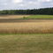 Malvern Hill, Single Cannon