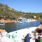 Coming back to the marina