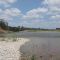 Yuba River Gold Field