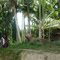Near the airstrip Karawari