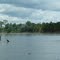 Karawari river
