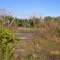 Wetland Park at Rockport, Tx