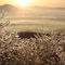 Cavanal Hill Ice Storm Sunrise