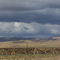 Clouds over the plains