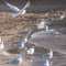 Delta Lake State Park